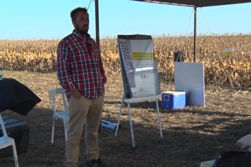 Campo Lider Nidera de La Impronta - Agronomía Pura - El Solar - Departamento La Paz - Entre Ríos