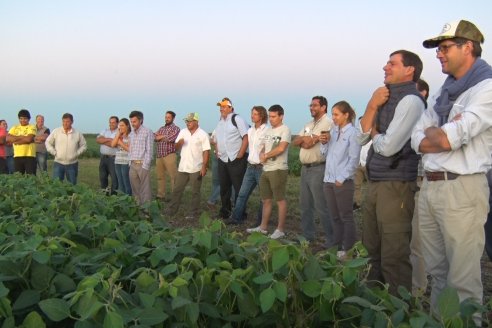 Campo Lider Nidera de La Impronta - Agronomía Pura - El Solar - Departamento La Paz - Entre Ríos