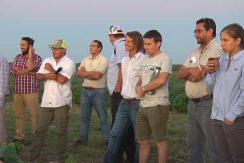 Campo Lider Nidera de La Impronta - Agronomía Pura - El Solar - Departamento La Paz - Entre Ríos