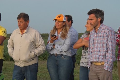 Campo Lider Nidera de La Impronta - Agronomía Pura - El Solar - Departamento La Paz - Entre Ríos