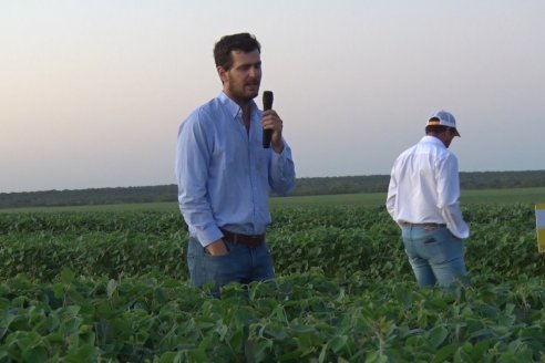 Campo Lider Nidera de La Impronta - Agronomía Pura - El Solar - Departamento La Paz - Entre Ríos