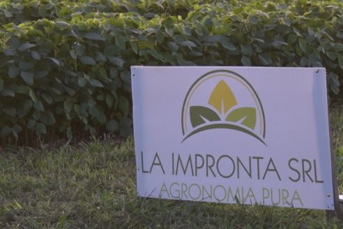 Campo Lider Nidera de La Impronta - Agronomía Pura - El Solar - Departamento La Paz - Entre Ríos