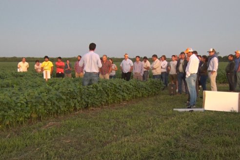 Campo Lider Nidera de La Impronta - Agronomía Pura - El Solar - Departamento La Paz - Entre Ríos