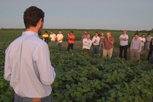 Campo Lider Nidera de La Impronta - Agronomía Pura - El Solar - Departamento La Paz - Entre Ríos