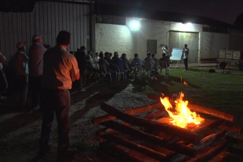 Campo Lider Nidera de La Impronta - Agronomía Pura - El Solar - Departamento La Paz - Entre Ríos