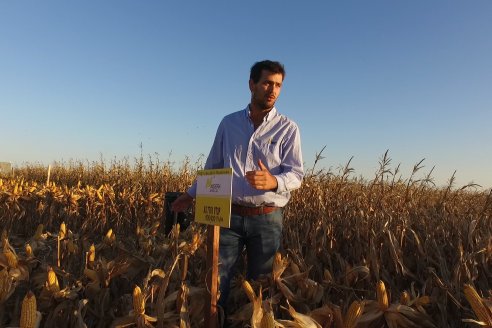 Campo Lider Nidera de La Impronta - Agronomía Pura - El Solar - Departamento La Paz - Entre Ríos