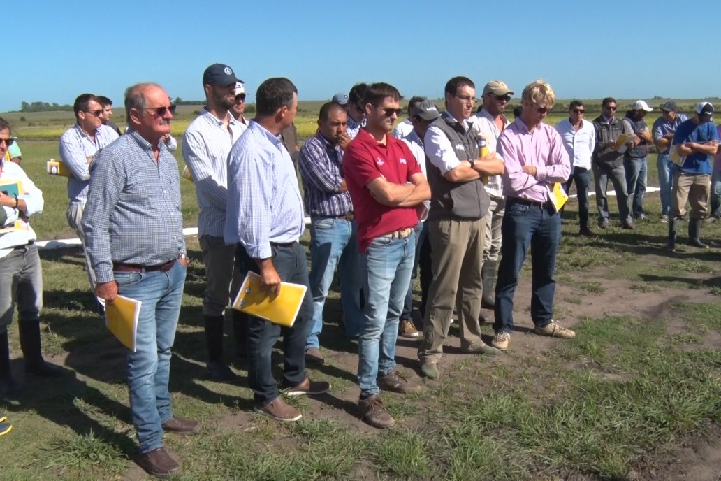 Día de Campo de Arroz 2020 en Concepción del Uruguay