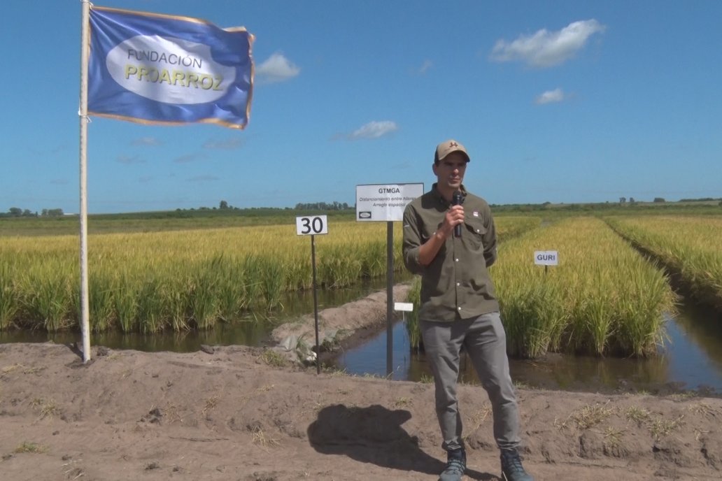 Día de Campo de Arroz 2020 en Concepción del Uruguay