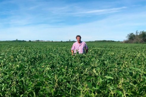 Productor entrerriano usa tecnología para aplicar herbicidas sólo a las malezas sin afectar al resto de la vegetación