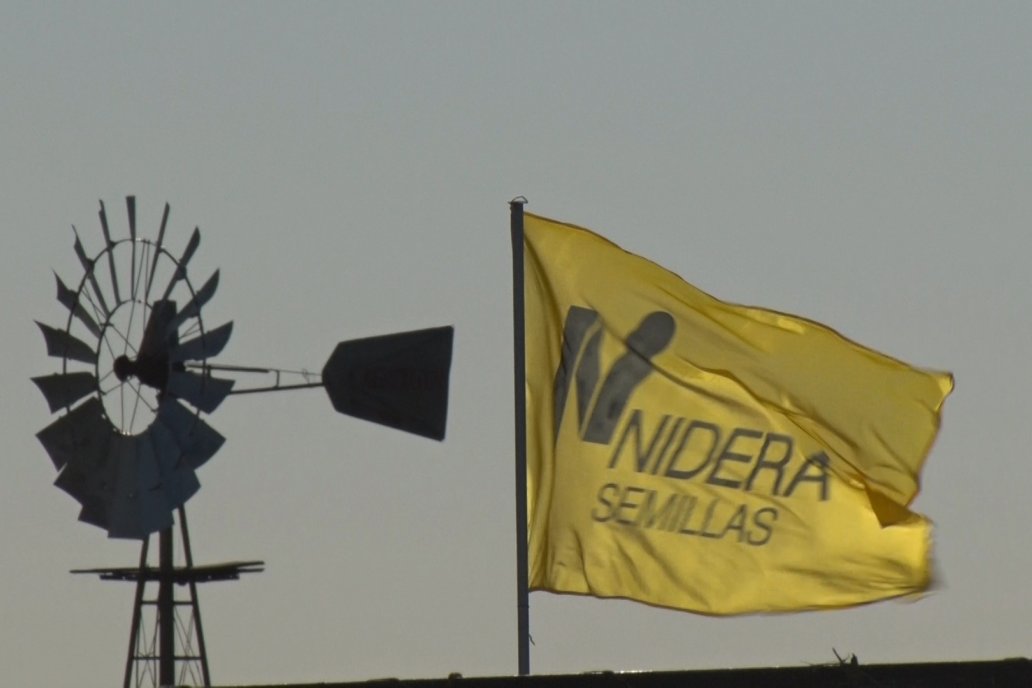 Jornada CAMPO LIDER NIDERA en El Solar