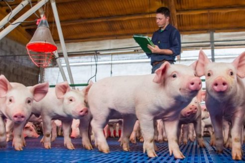 La sanidad animal en el centro del debate técnico en Fericerdo