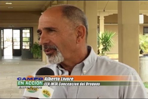 El Dr. Alberto Livore es premiado por la Academia Nacional de Agronomía y Veterinaria