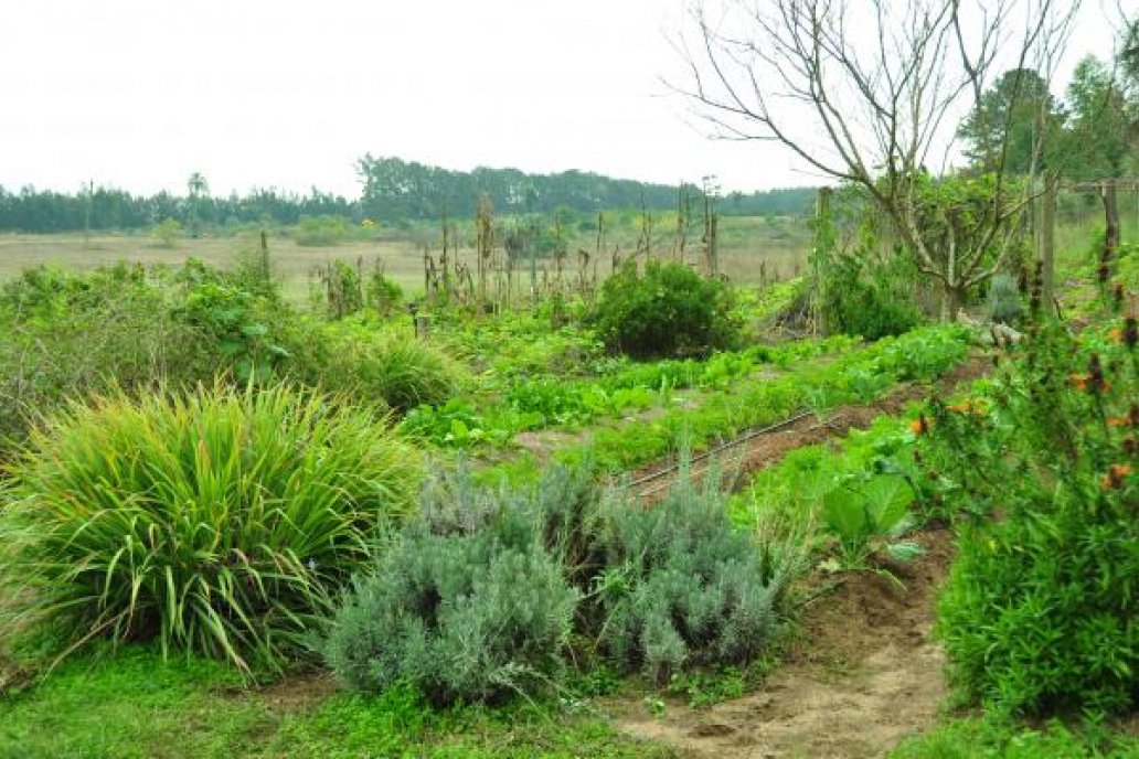 La AER INTA Chajarí se suma al programa Almácigo