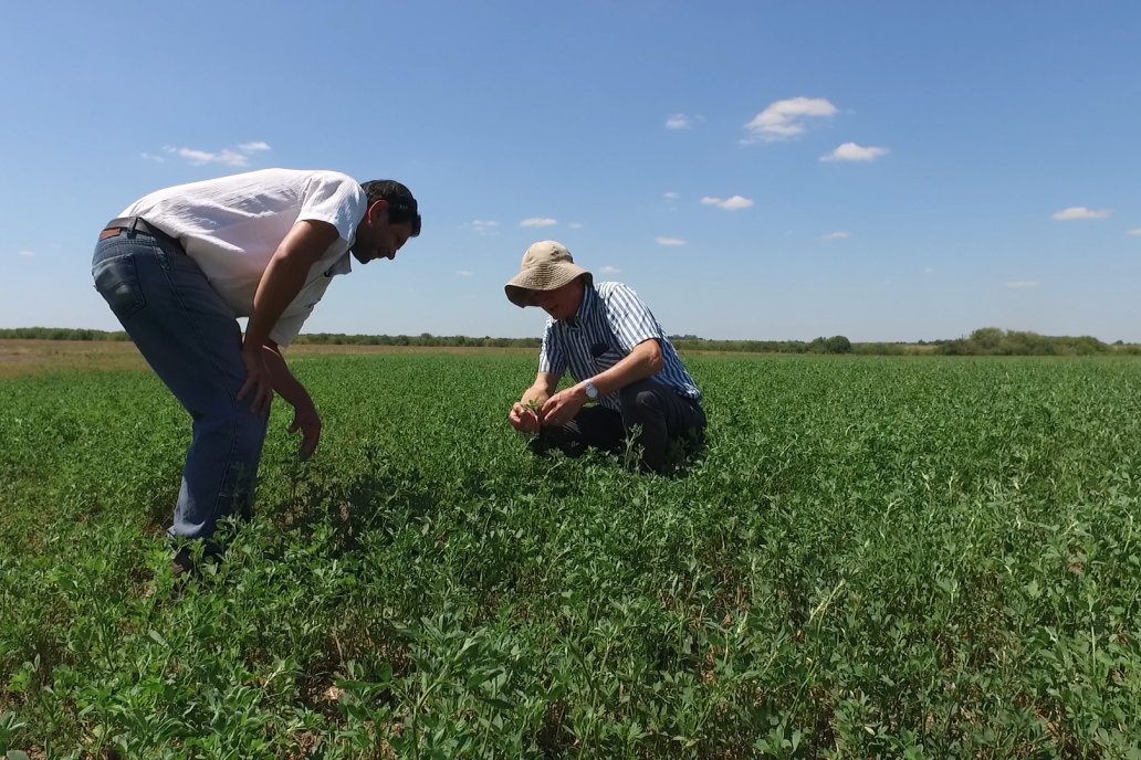 Los Estribos de Gieco: una producción mixta entre lechería y agricultura