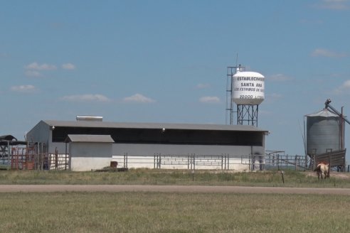 Los Estribos de Gieco: una producción mixta entre lechería y agricultura