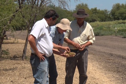 Los Estribos de Gieco: una producción mixta entre lechería y agricultura