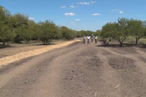 Los Estribos de Gieco: una producción mixta entre lechería y agricultura