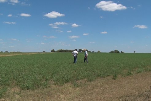 Los Estribos de Gieco: una producción mixta entre lechería y agricultura