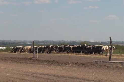 Los Estribos de Gieco: una producción mixta entre lechería y agricultura