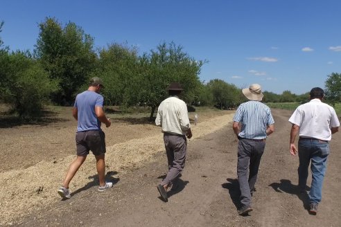 Los Estribos de Gieco: una producción mixta entre lechería y agricultura