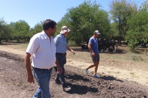 Los Estribos de Gieco: una producción mixta entre lechería y agricultura