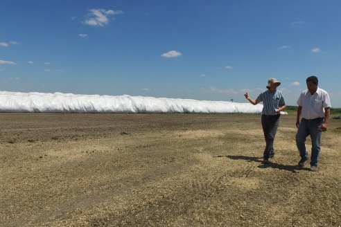 Los Estribos de Gieco: una producción mixta entre lechería y agricultura