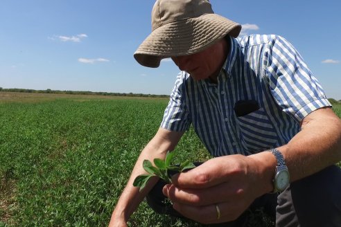 Los Estribos de Gieco: una producción mixta entre lechería y agricultura