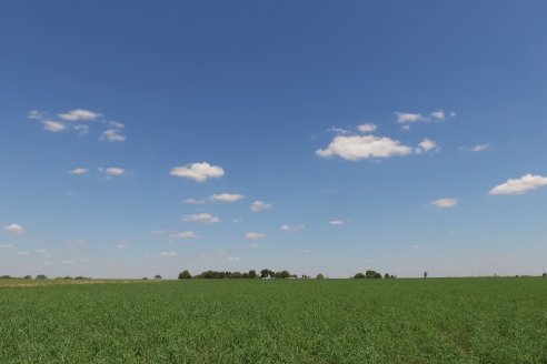 Los Estribos de Gieco: una producción mixta entre lechería y agricultura