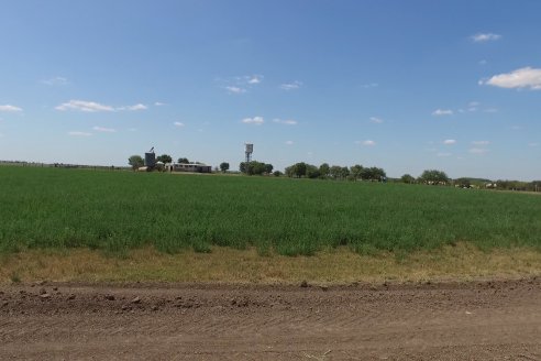 Los Estribos de Gieco: una producción mixta entre lechería y agricultura