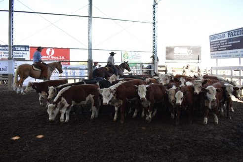 En la Sociedad Rural de Federal más de 2000 Cabezas pasaron por la pista central