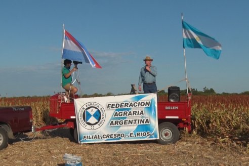 Experiencia de un productor con dos Manejos Alternativos para el cultivo de Sorgo