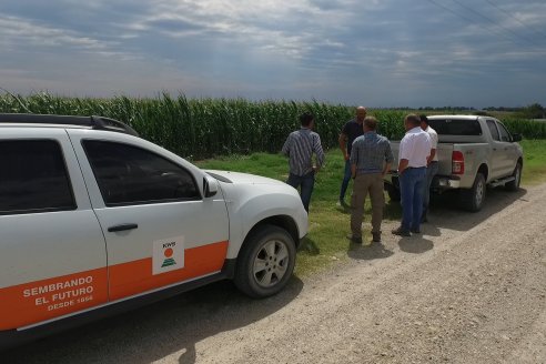 Recorrida Maices en Departamento Paraná KWS Semillas y DINAGRO SRL