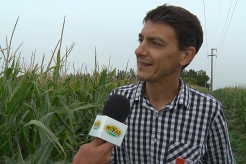 Recorrida Maices en Departamento Paraná KWS Semillas y DINAGRO SRL