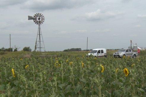 Esteban Merini - Asesor Privado - Una nueva experiencia: Girasol Tardio en Valle Maria