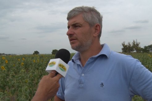 Esteban Merini - Asesor Privado - Una nueva experiencia: Girasol Tardio en Valle Maria