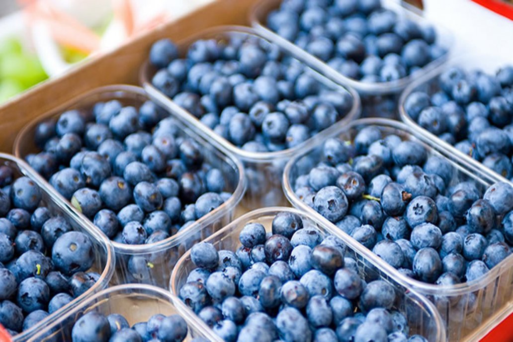 La quita de retenciones genera 500 millones de pesos de ingresos extras.