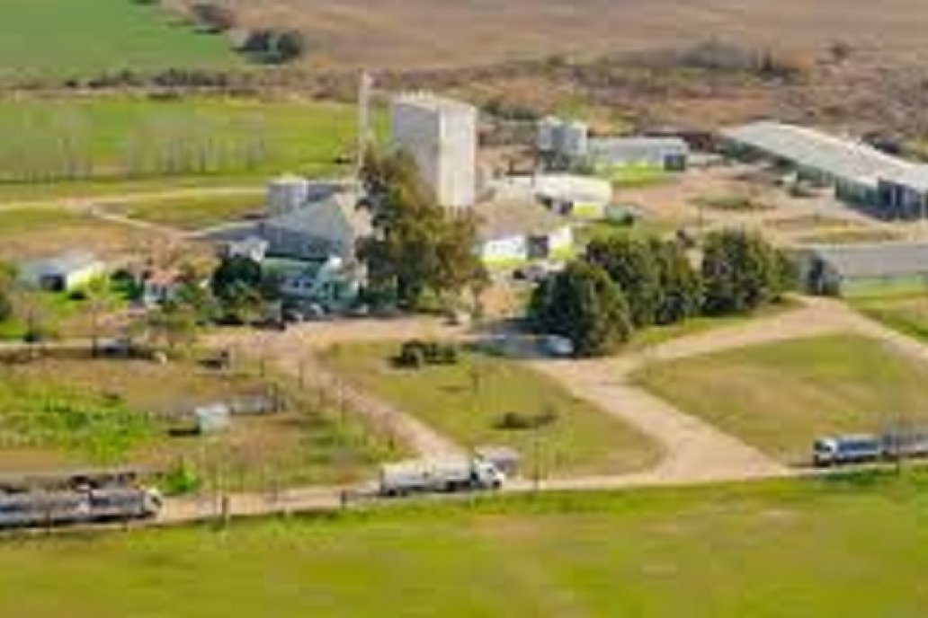 Bioter cerró el 2020 en crecimiento y tiene un plan de expansión para el 2021 Bioter cerró el 2020 en crecimiento y tiene un plan de expansión para el 2021