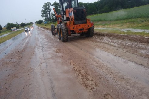 Cambió la onda y las precipitaciones ahora hermosean el paisaje rural