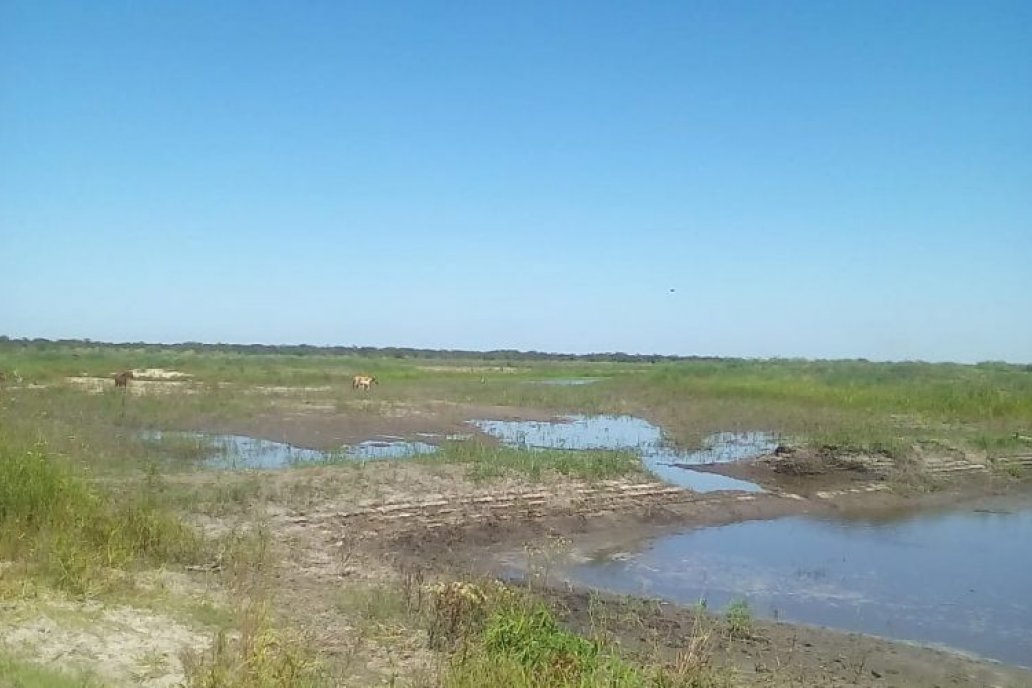 Los terraplenes están en humedales que desembocan en el río Guayquiraró.