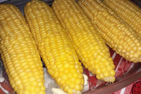 INTA presentó dos maíces dulces para producción familiar