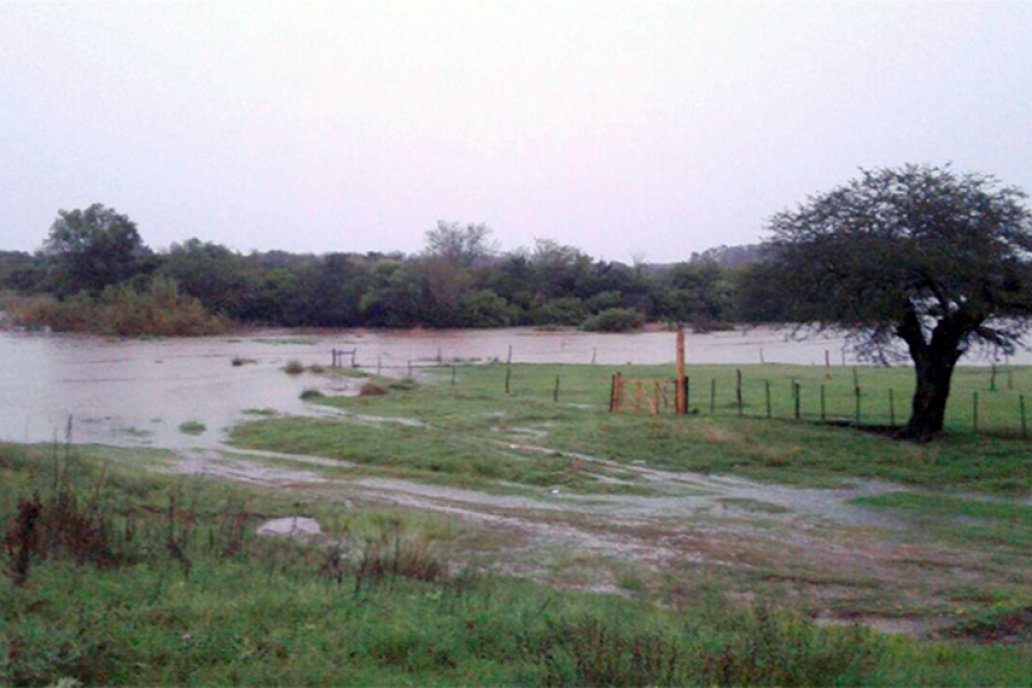 El 2020 fue uno de los tres años más cálidos registrados