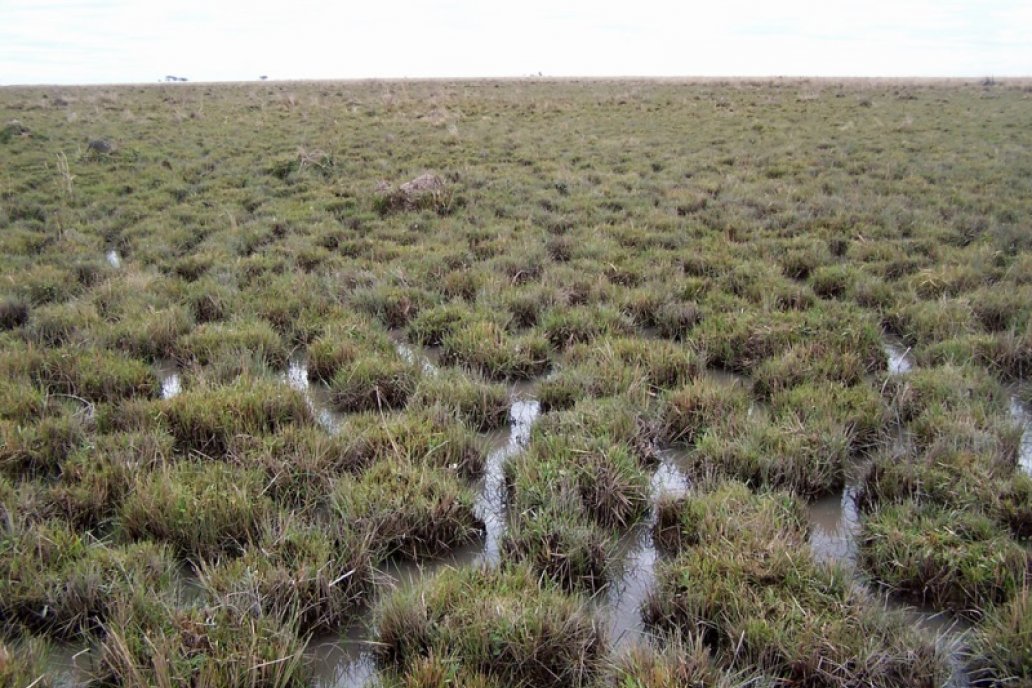 Poco más del 6% de la superficie de la vecina provincia está formado por agua. Poco más del 6% de la superficie de la vecina provincia está formado por agua.