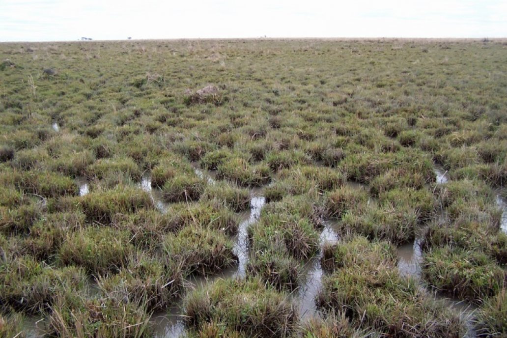 Poco más del 6% de la superficie de la vecina provincia está formado por agua.