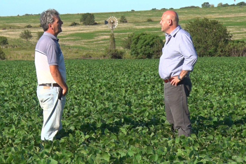 Restano recibió a Campo en Acción en un lote de Tezanos Pinto.