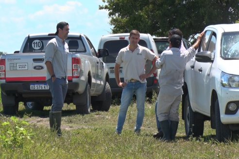 Recorrida Daser Agro - Corteva - Ensayo de Arroz en Lucas Sud - Hay una solución integral para controlar malezas