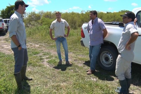 Recorrida Daser Agro - Corteva - Ensayo de Arroz en Lucas Sud - Hay una solución integral para controlar malezas