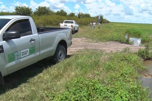 Recorrida Daser Agro - Corteva - Ensayo de Arroz en Lucas Sud - Hay una solución integral para controlar malezas