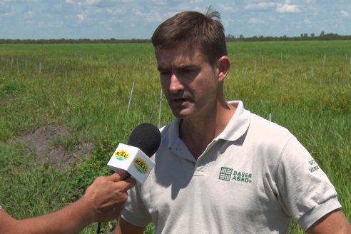 Recorrida Daser Agro - Corteva - Ensayo de Arroz en Lucas Sud - Hay una solución integral para controlar malezas