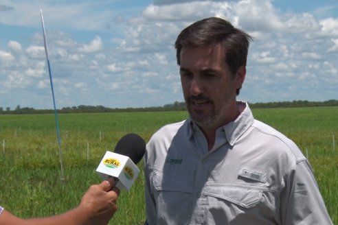 Recorrida Daser Agro - Corteva - Ensayo de Arroz en Lucas Sud - Hay una solución integral para controlar malezas