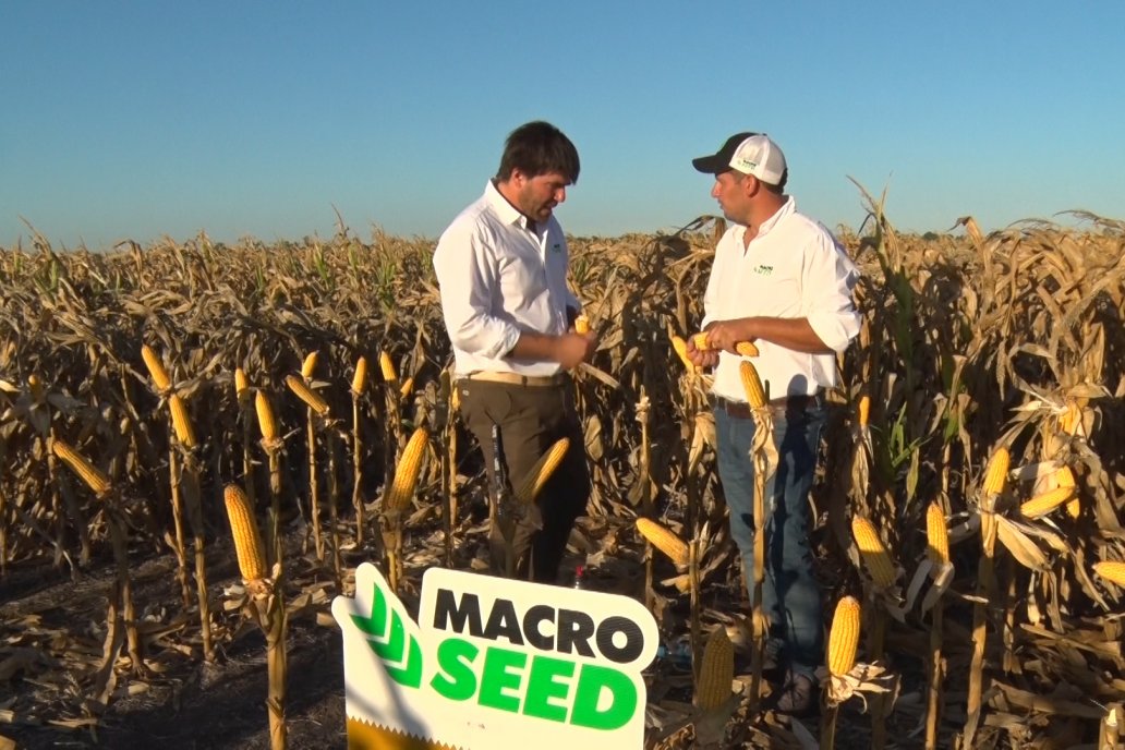 Francisco Ocampo y Emiliano Medail - Macro Seed